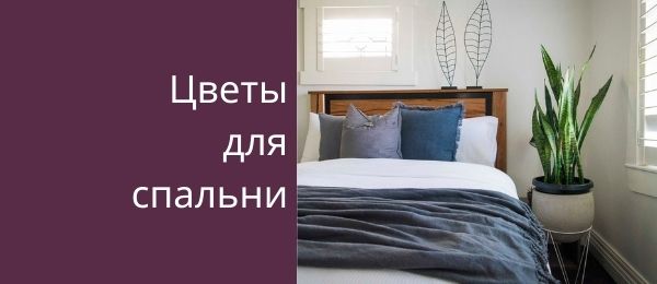 Цветы в спальне дизайн